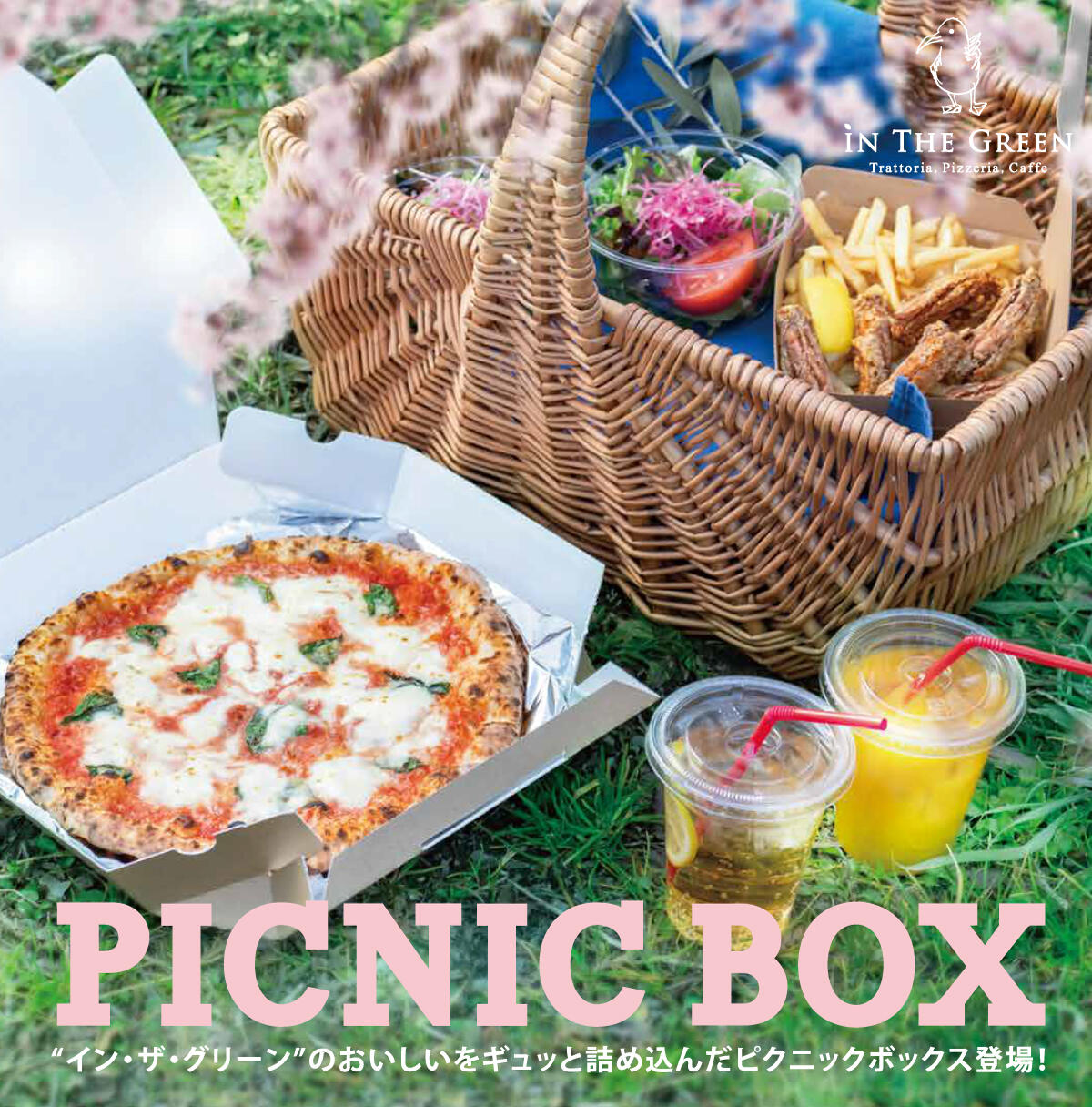 picnicbox01.jpg
